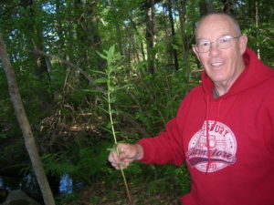 don-with-phragmites