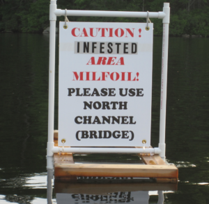 milfoil-warning-signs-3