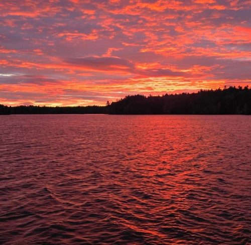 pink, purple, yellow sunset