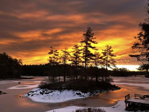 yellow sunrise with trees